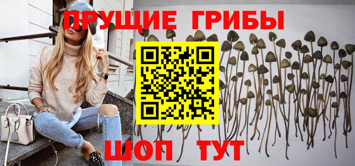 Галлюциногенные грибы GOLDEN TEACHER Миллерово