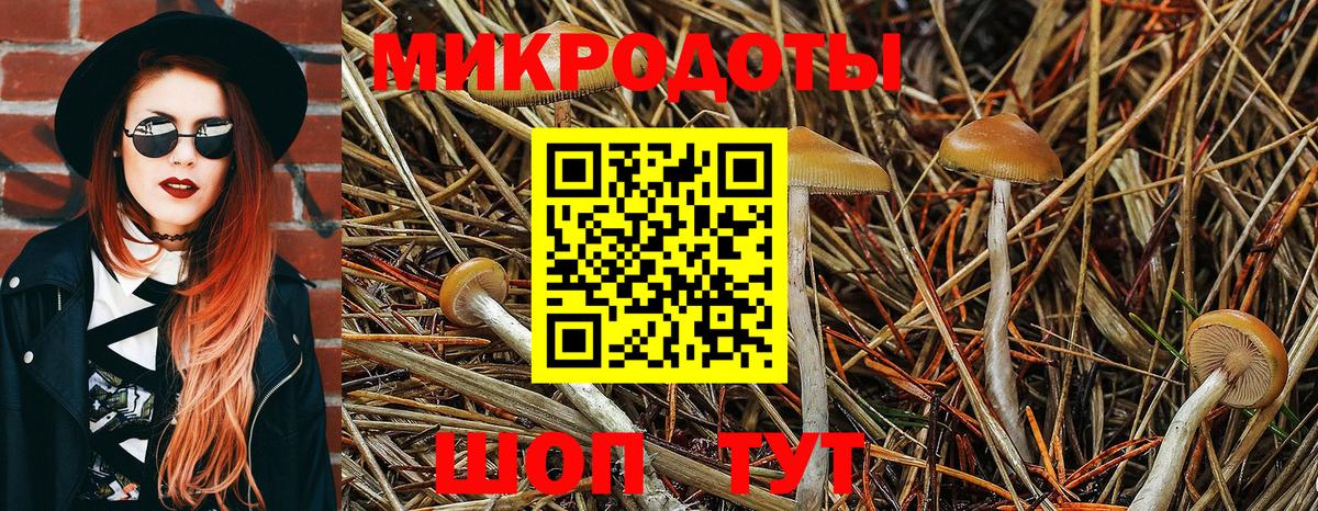 Миллерово  Галлюциногенные грибы Cubensis  как найти   Вход с VPN 